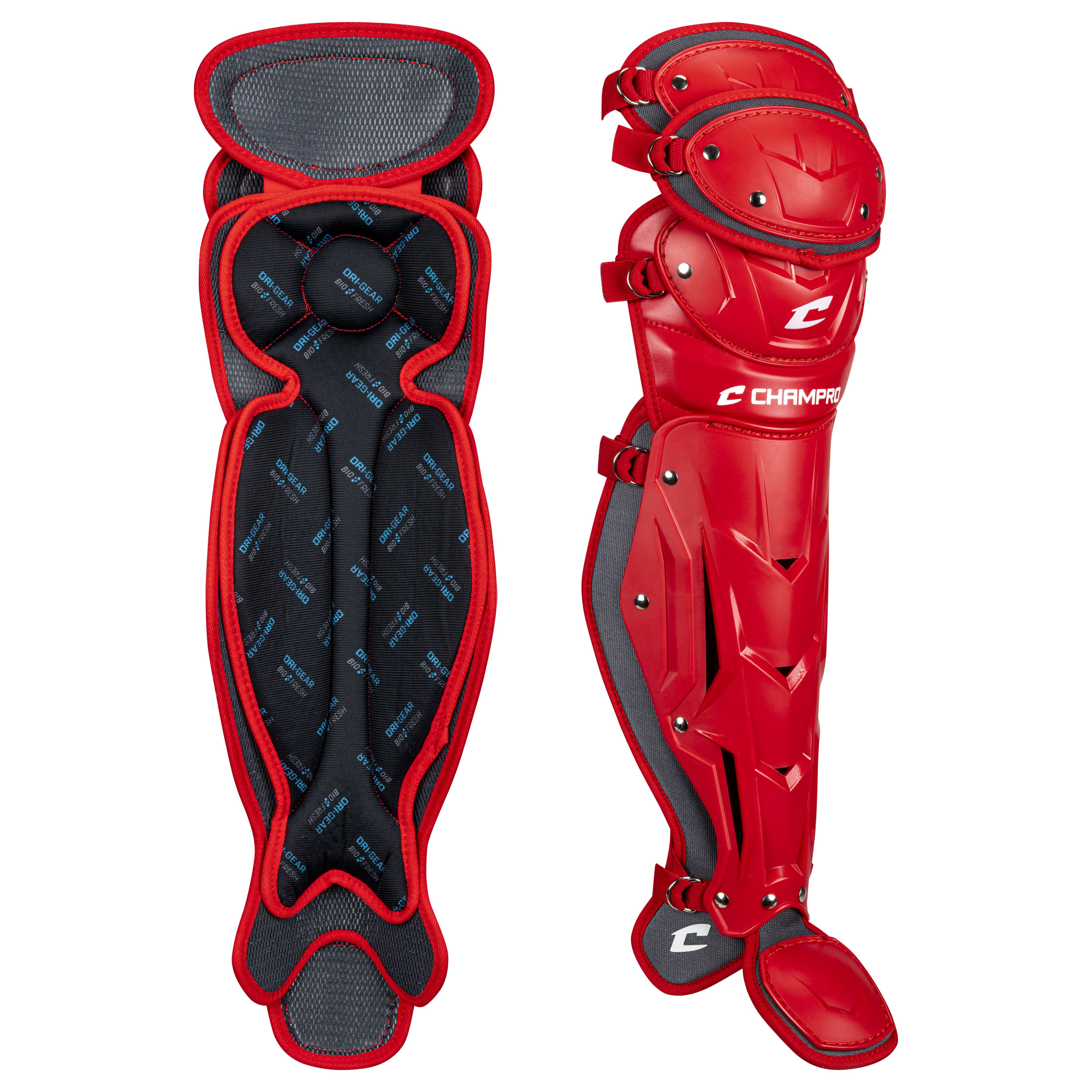 baseball-equipment-catcher's-gear-leg-guards