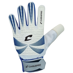 Goalie Gloves